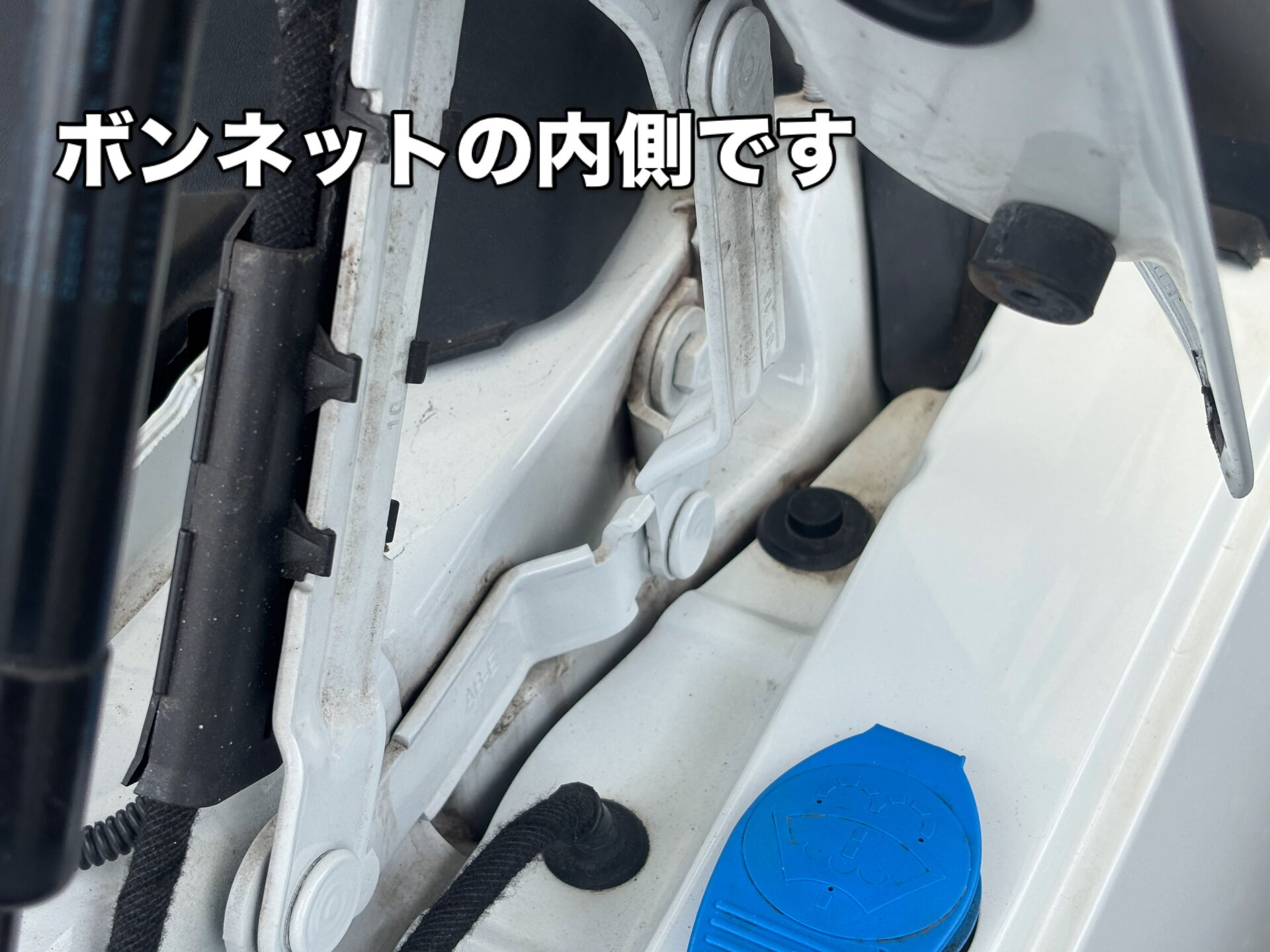今週も沢山の入庫ありがとうございました