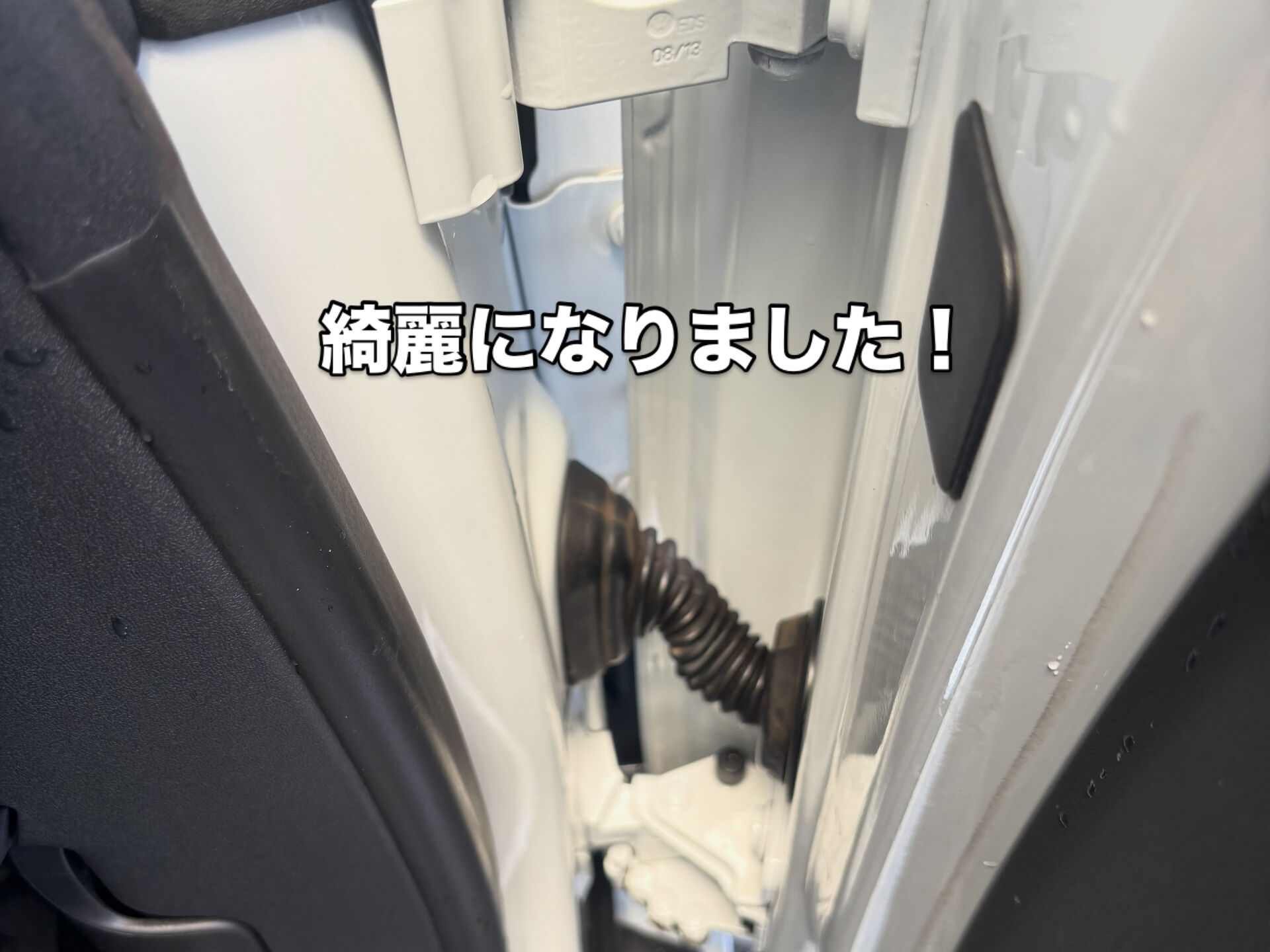 今週も沢山の入庫ありがとうございました